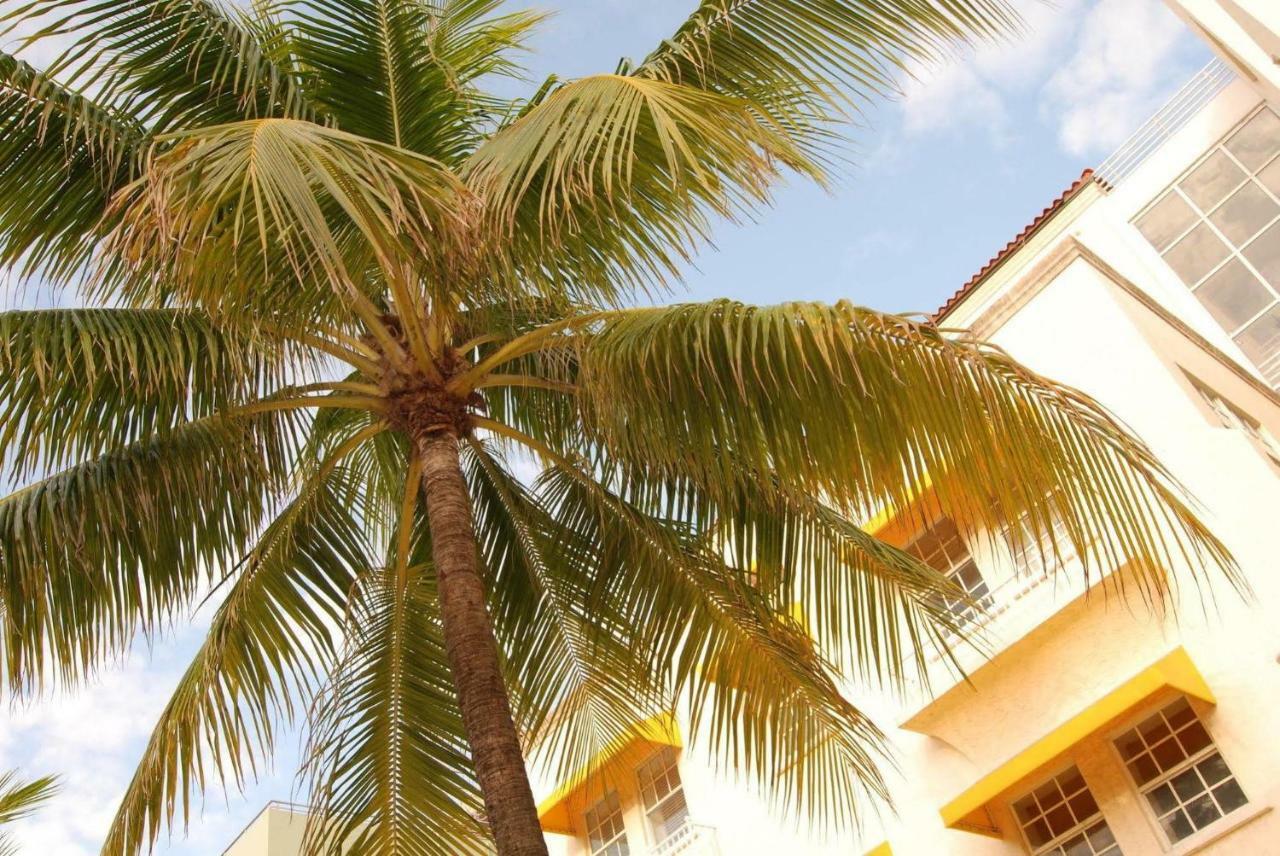2 Bedroom Ocean Drive Newly Renovated Miami Beach Extérieur photo